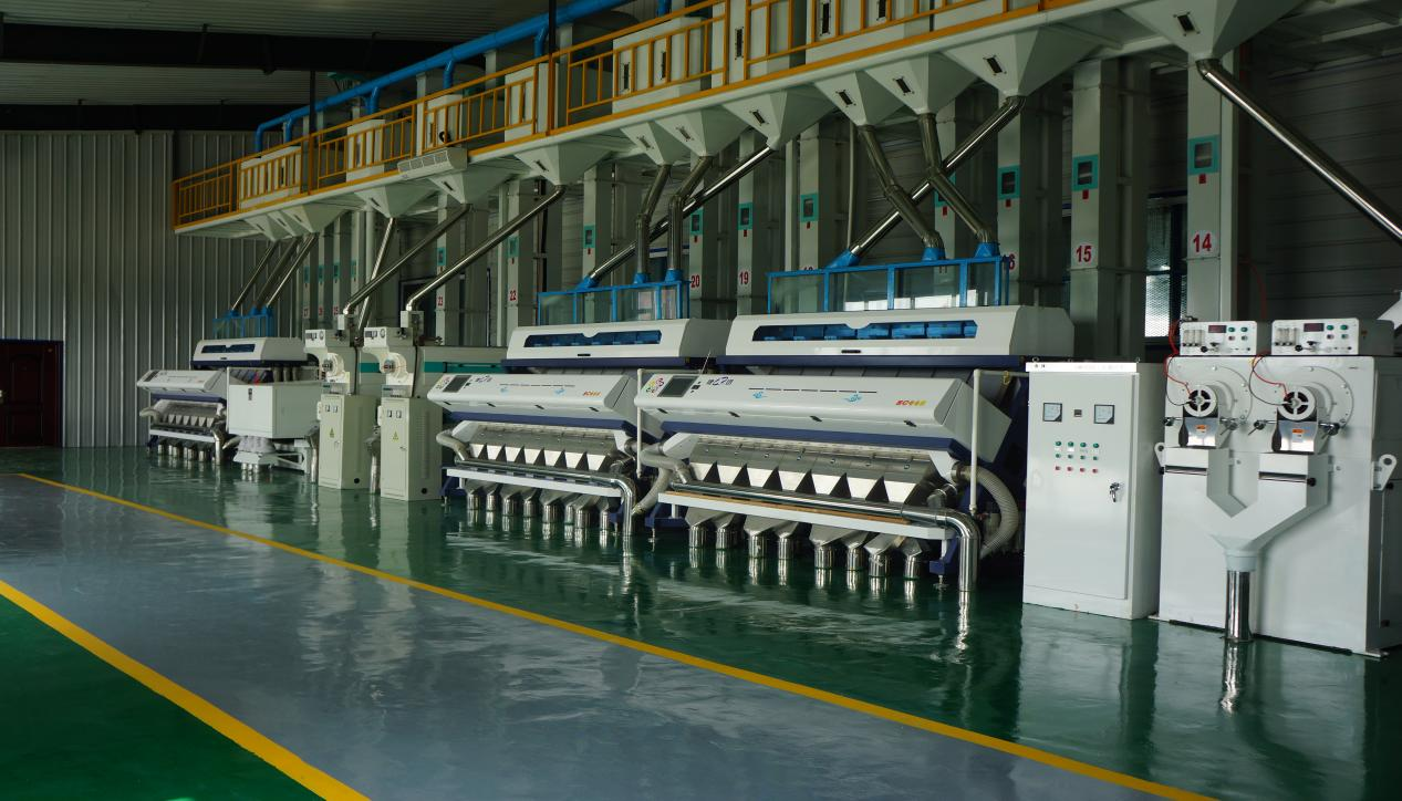 1711006561717517.png 圖片5.png